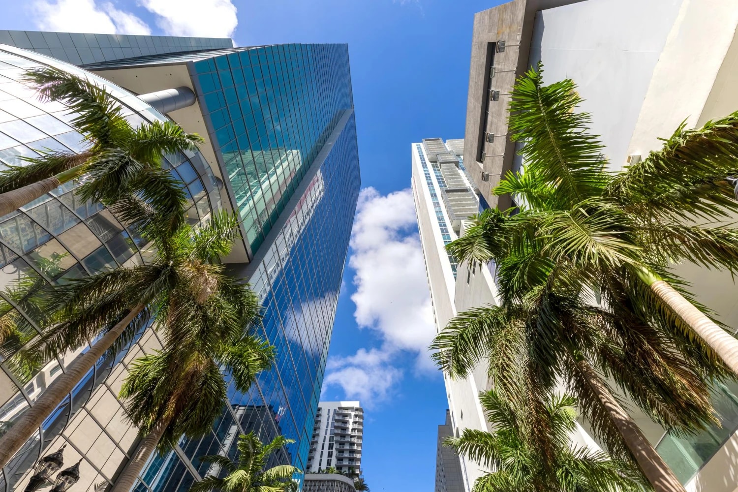 Empresa Florida: Guía definitiva 2025 para abrir tu LLC en EE.UU.