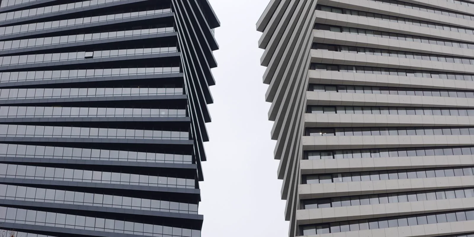 Diferencias LLC vs Corporation