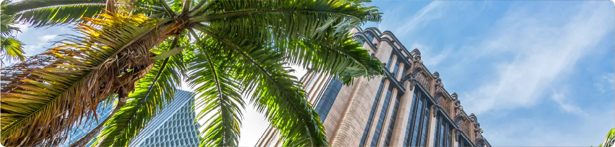Empresa Florida: Guía definitiva 2025 para abrir tu LLC en EE.UU.